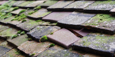 Ardington roof repair costs